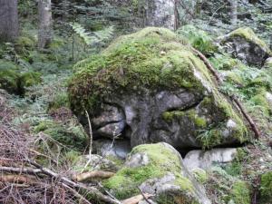 Paesaggio naturale nelle vicinanze dell'appartamento