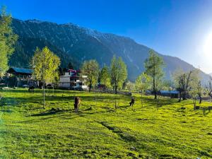戴尔豪斯Hotel Mini Switzerland In Dalhousie #Air Cooled的两匹马在山前的田野上放牧