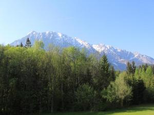 度假屋周边自然景观