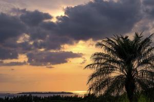 eine Palme vor einem Sonnenuntergang in der Unterkunft オーシャンビュー BBQ可 最大8名 自然を満喫できる宿 Maru in Motobu