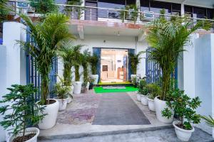 Zahrada ubytování Hotel Frolic Stay