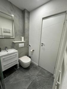 een badkamer met toilet en wastafel bij Apartament Ultra Central 4 in Hunedoara +27 foto's