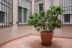Fotografie z fotogalerie ubytování Hotel Hidalgo Quijada v destinaci Alcazar de San Juan