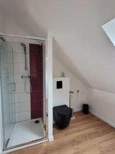 bagno con doccia e servizi igienici neri di Loveroom Instants Secret Amiens ad Amiens