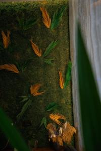 Gallery image of Esbjerg Hotel in Vlorë +84 photos