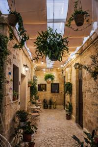 a hallway with potted plants in a building at Il Giardino di Sole in Bari