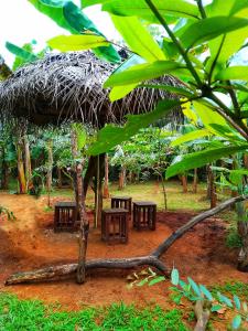 Zahrada ubytování Banana Shade Cottage