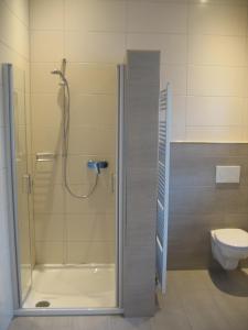 a bathroom with a shower and a toilet at Ferienhaus Staudensonne in Langenneufnach +12 photos