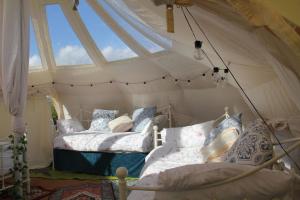 Tal-y-fan farm 6m stargazer tent客房内的一张或多张床位