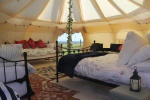 Tal-y-fan farm 6m stargazer tent的休息区