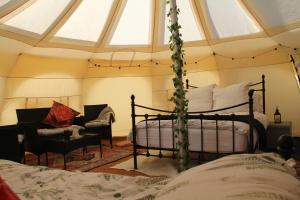 Tal-y-fan farm 6m stargazer tent客房内的一张或多张床位