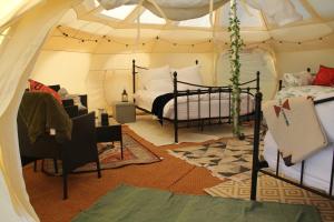 Tal-y-fan farm 6m stargazer tent客房内的一张或多张床位