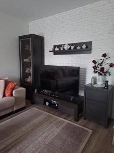 Μια τηλεόραση ή/και κέντρο ψυχαγωγίας στο Apartament Kaczmarka PARK