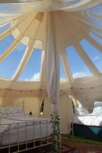 Tal-y-fan farm 6m stargazer tent客房内的一张或多张床位