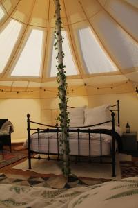 Tal-y-fan farm 6m stargazer tent客房内的一张或多张床位