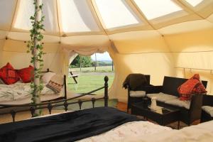 Tal-y-fan farm 6m stargazer tent的休息区