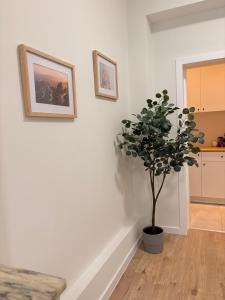 Фотография из галереи Fully Renovated Studio Near Brussels Centre & Midi в Брюсселе
