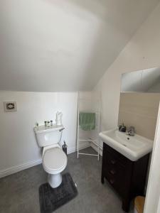 a bathroom with a white toilet and a sink at The Ducks - Stunning remote Norfolk Appt with Lazy Spa in Mileham +23 photos