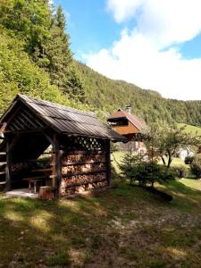 a log cabin with a picnic table in the grass at Apartmaji Brložnica pod Veliko planino in Luče