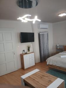 Televízia a/alebo spoločenská miestnosť v ubytovaní Soda apartman