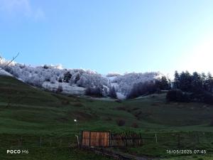 AdishiGuest house River side的相册照片