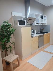 Kuchyňa alebo kuchynka v ubytovaní Soda apartman