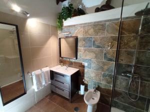 a bathroom with a sink and a shower and a toilet at Estancia para 2 Personas con Piscina en Garachico in Garachico