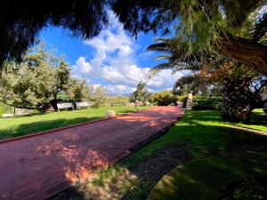 Zahrada ubytování Hotel I Ginepri
