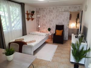 a bedroom with a bed and a table and a mirror at DunaLiget Vendégház in Szentendre
