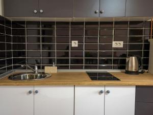 a kitchen with a sink and a black tiled wall at Apartman NORD85 in Garešnica