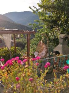 un giardino con fiori, una sedia e un gazebo di Casa Di mamou a Loreto-di-Tallano