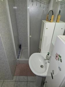 a bathroom with a white sink and a shower at Studio Centre Ville in Nice