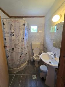 a bathroom with a toilet and a sink and a shower curtain at Exohi apartments in Vrasná