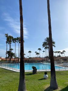 a swimming pool with palm trees and a resort at Sunny Haven in Playa del Inglés in Maspalomas +5 photos