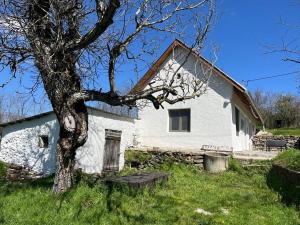 a white house with a tree and a bench at Bazalt Tigris Vendégház in Zalahaláp +8 photos