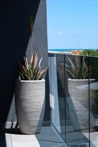 two potted plants sitting on a window sill at La Vela Luxury Apartment in Pescara +17 photos