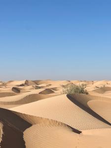 Al WāşilにあるGolden dune Bedouin campのギャラリーの写真