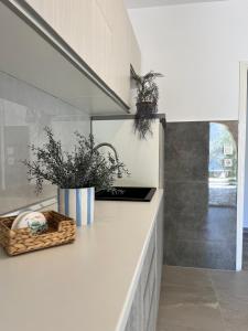 Η κουζίνα ή μικρή κουζίνα στο Apartments REM