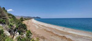 a view of a sandy beach with the ocean at Bayrams Tree Houses in Olympos