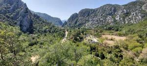 an aerial view of a mountain valley with trees at Bayrams Tree Houses in Olympos