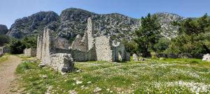 an old stone building in a field with mountains in the background at Bayrams Tree Houses in Olympos