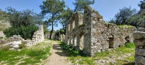 an old stone wall with a path in a field at Bayrams Tree Houses in Olympos
