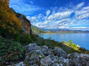 a view of a large body of water with rocks at Bayrams Tree Houses in Olympos