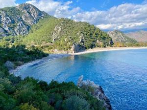 a view of a beach with mountains in the background at Bayrams Tree Houses in Olympos