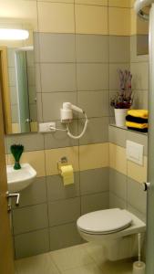 a bathroom with a toilet and a sink and a mirror at Apartments Světluška in Loučná nad Desnou