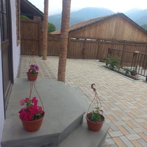 Fotografie z fotogalerie ubytování Violet guest house v destinaci Dilidžan