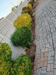 Ảnh trong thư viện ảnh của Kimberland Guest House Block 10 ở Gaborone