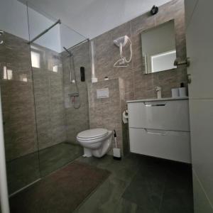a bathroom with a toilet and a glass shower at Vila Natasa Apartment 2 near Plitvice in Vrhovine