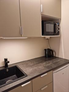 a kitchen with a sink and a microwave at Oslo Stay guesthouse in Oslo