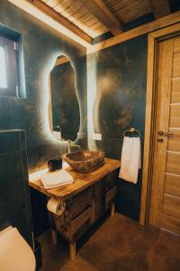 a bathroom with a sink and a mirror at Adăpost Transalpina in Căpîlna